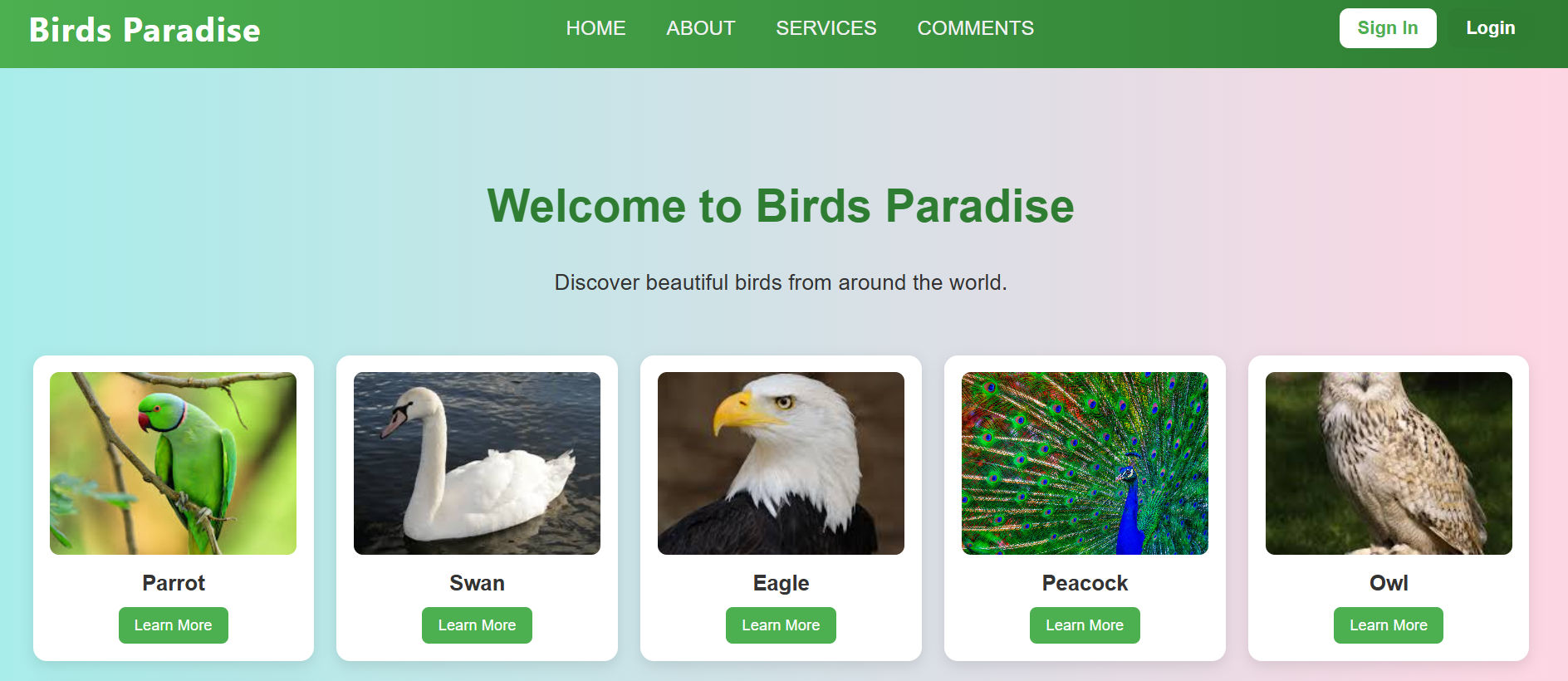 Bird Watching project
