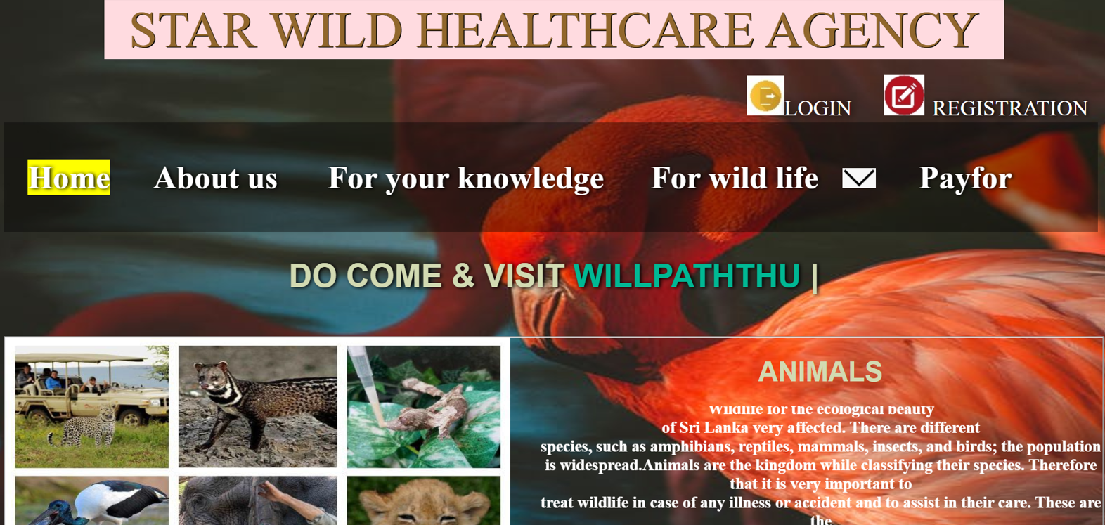 Wildlife Healthcare project